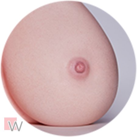 #1 - 2,5 cm