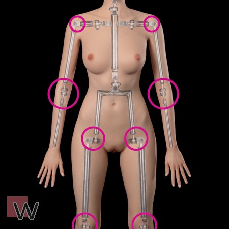 #2 - Schwache Glieder
