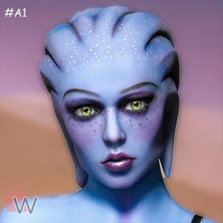 A1