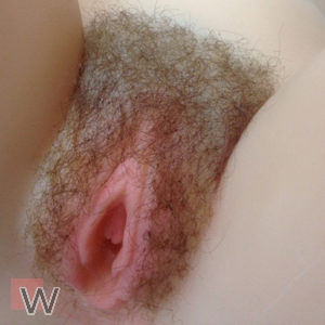 #6 Behaart - Hairy
