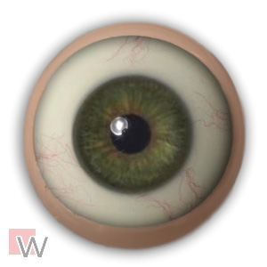 💡 Bewegliche Augen mit Venen