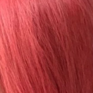 Rot