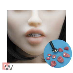 Zähne -und Zungenset - Normal