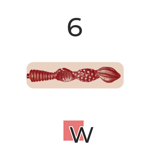 #6