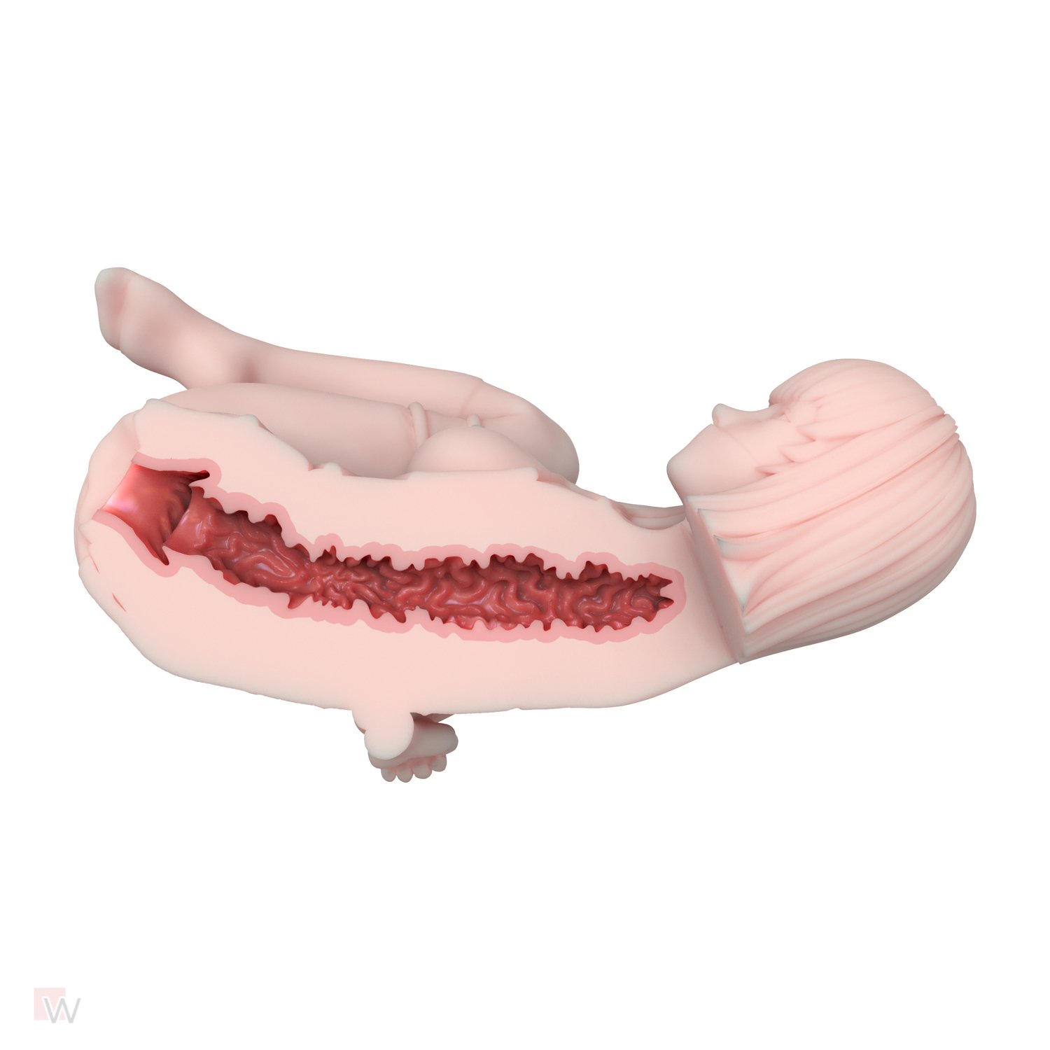Mini Stroker Sex Doll - Sakuraki Mami – Bild 6