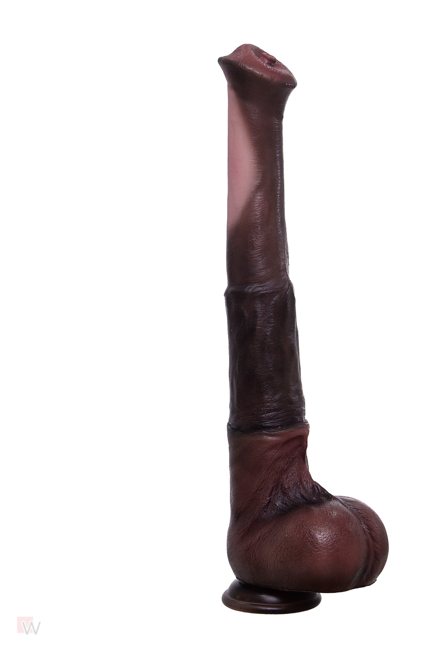 Realistischer Pferdedildo - 30 cm – Bild 6
