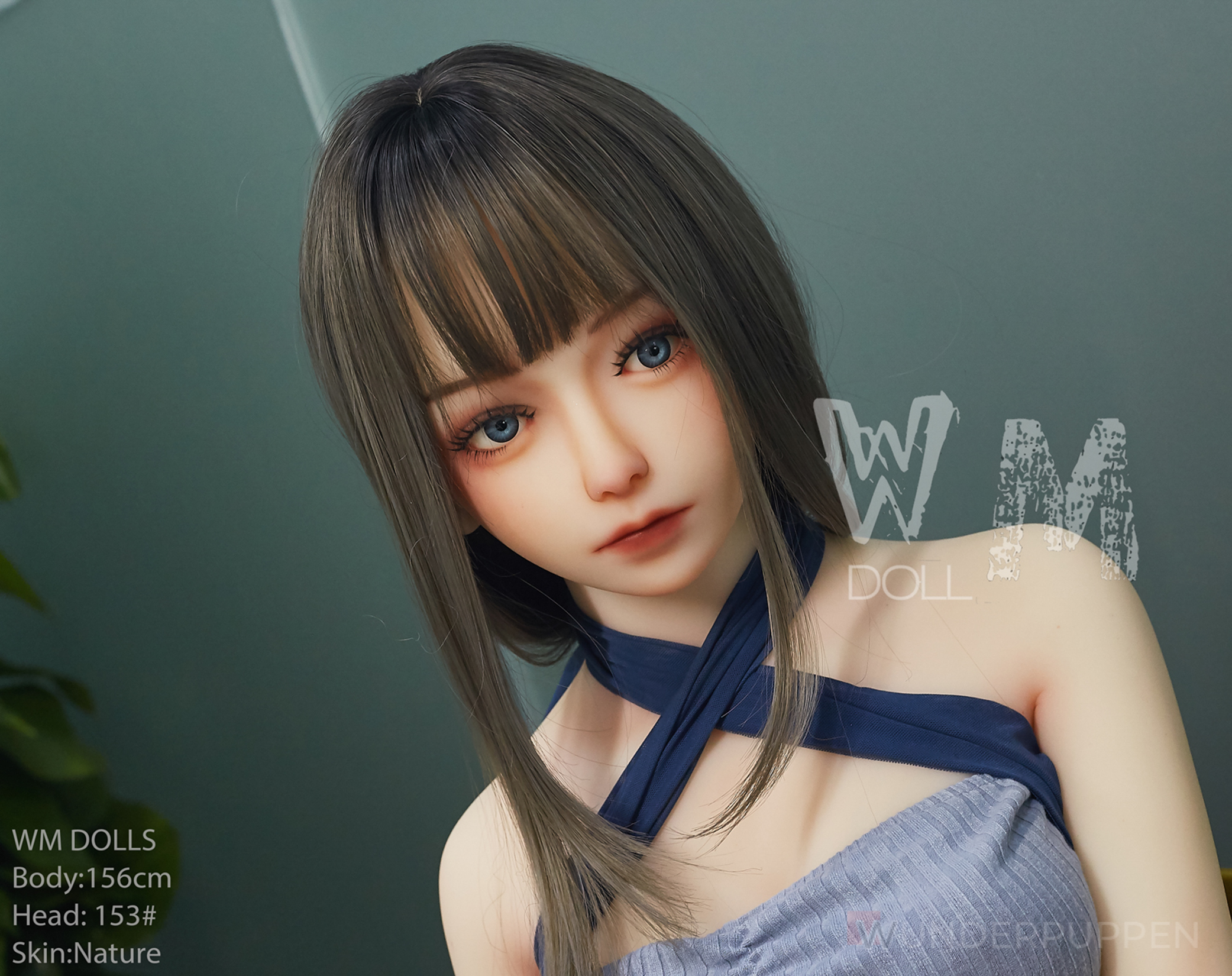 Talia - WM 156cm C – Bild 14