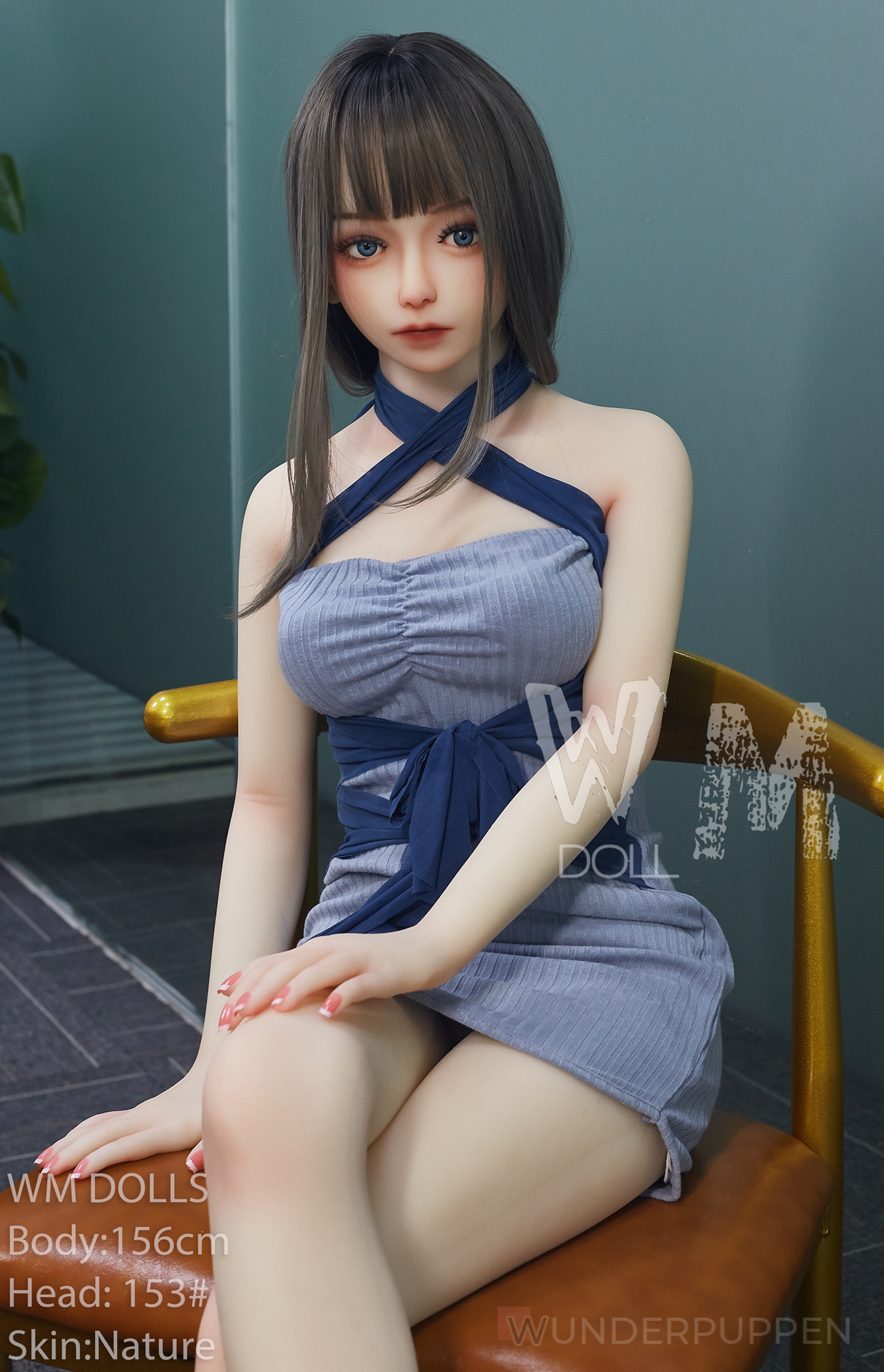 Talia - WM 156cm C – Bild 11