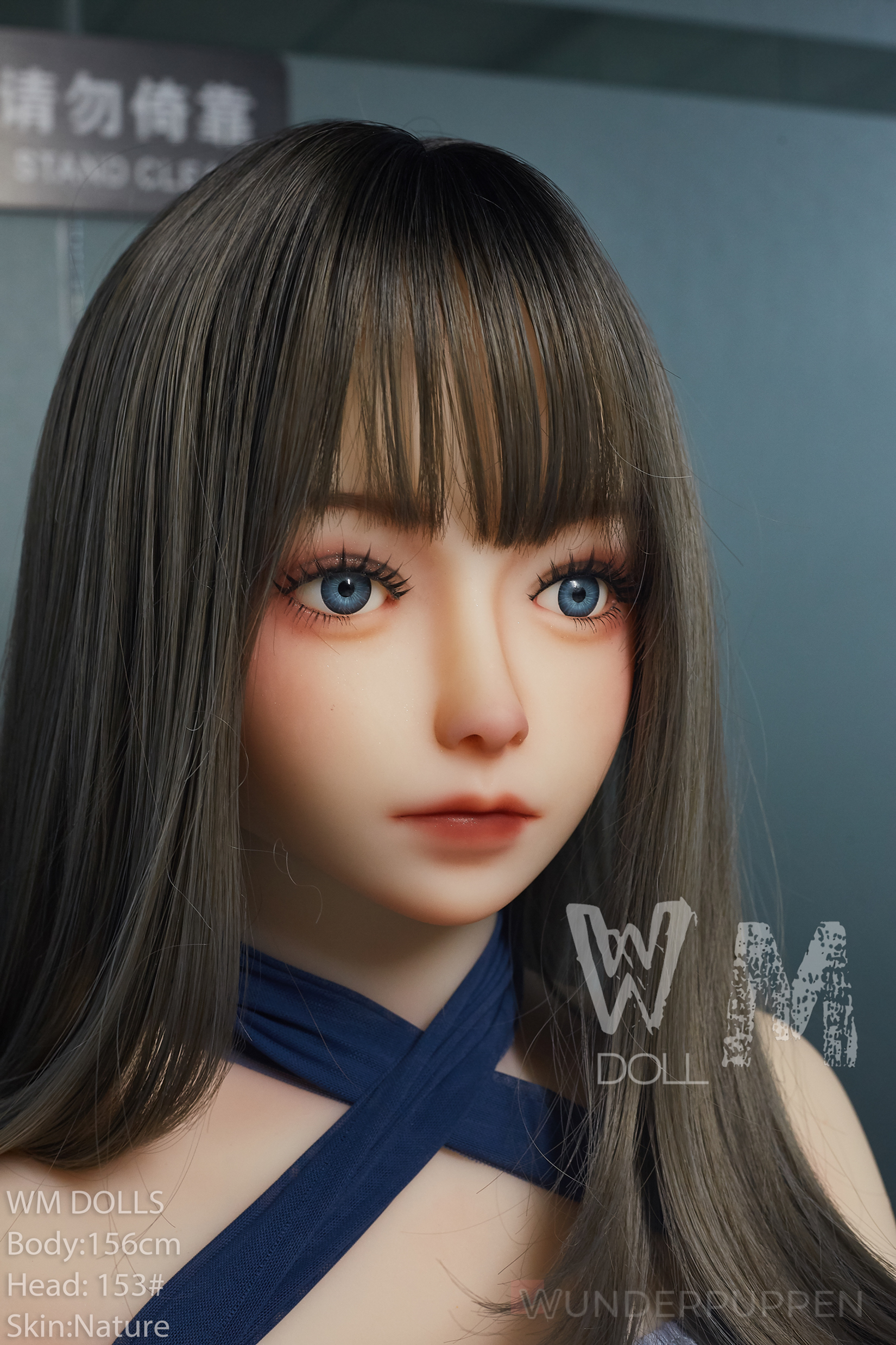 Talia - WM 156cm C – Bild 10