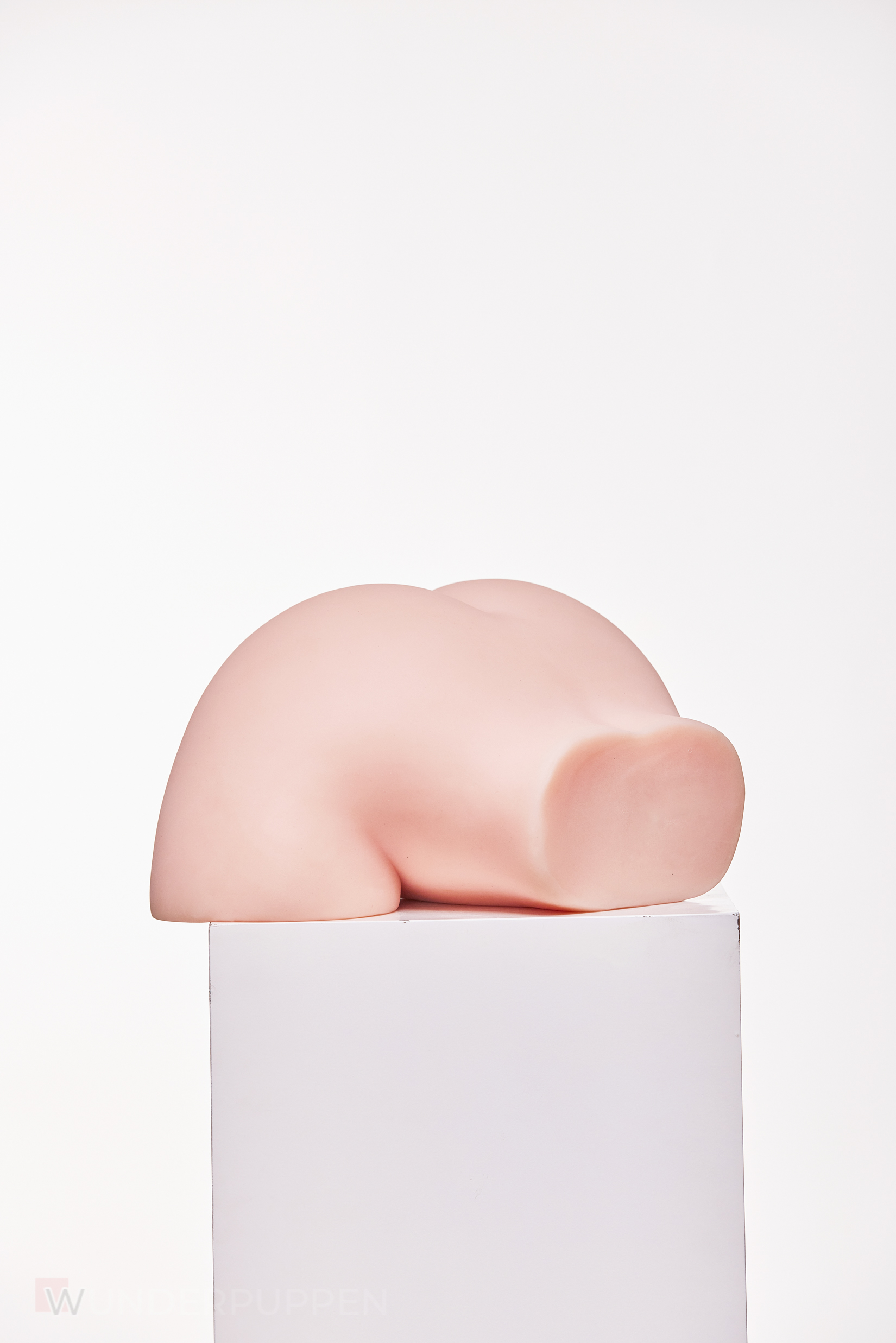 Sex Torso Miwa – Bild 12