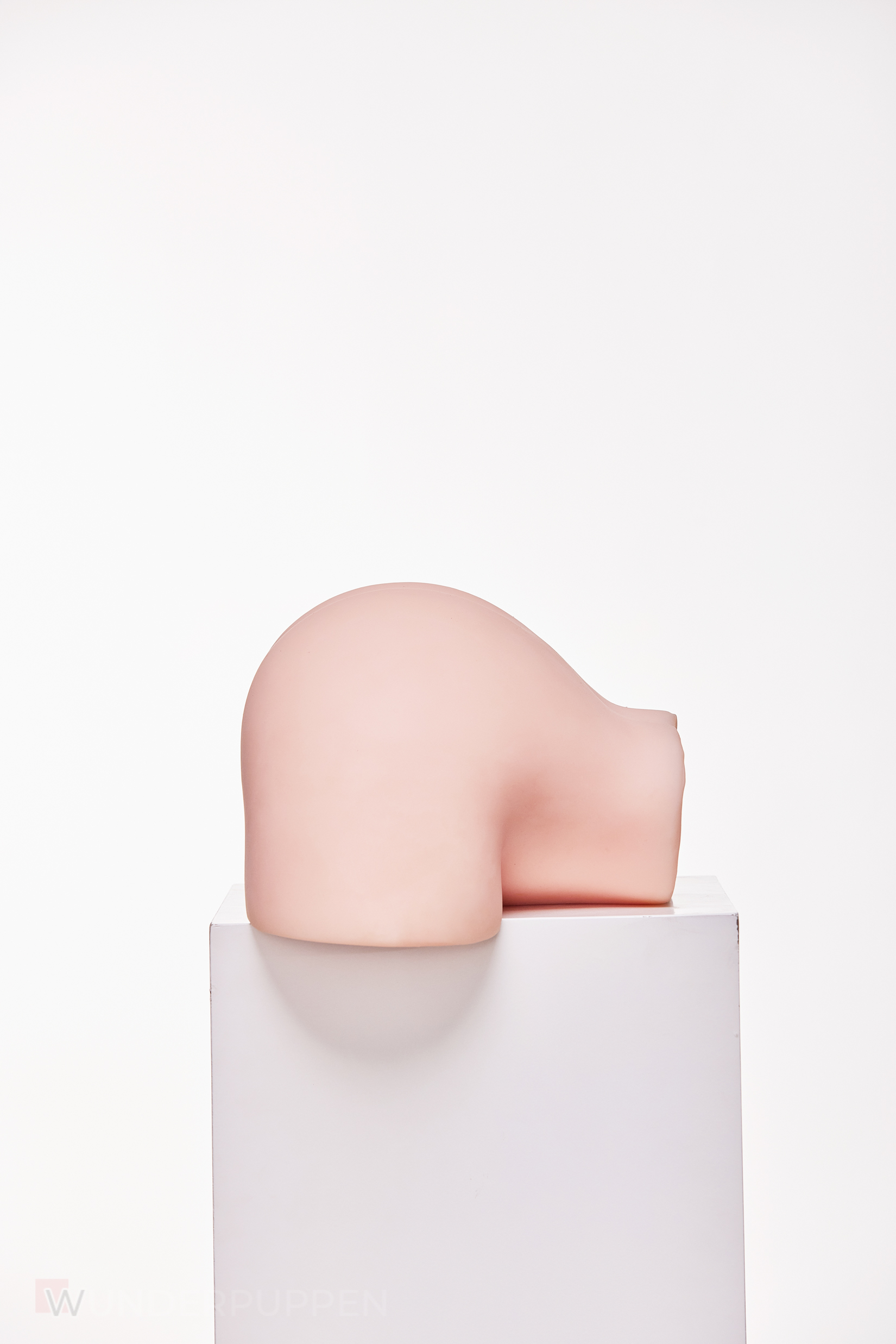 Sex Torso Miwa – Bild 11