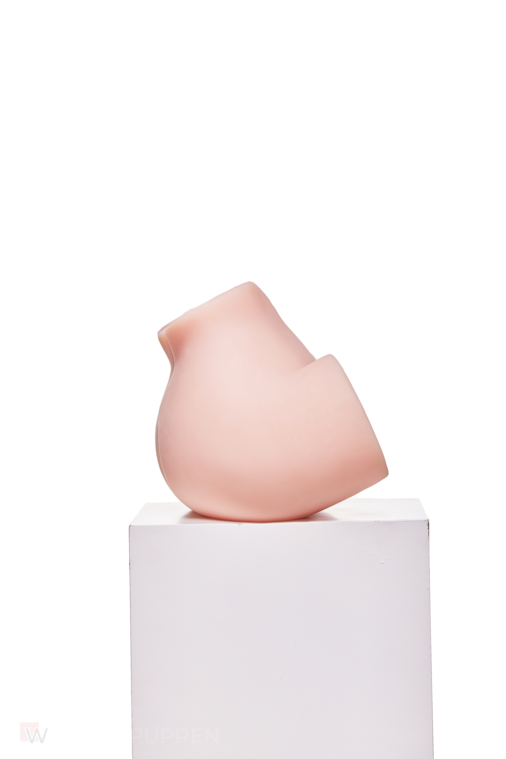 Sex Torso Miwa – Bild 4