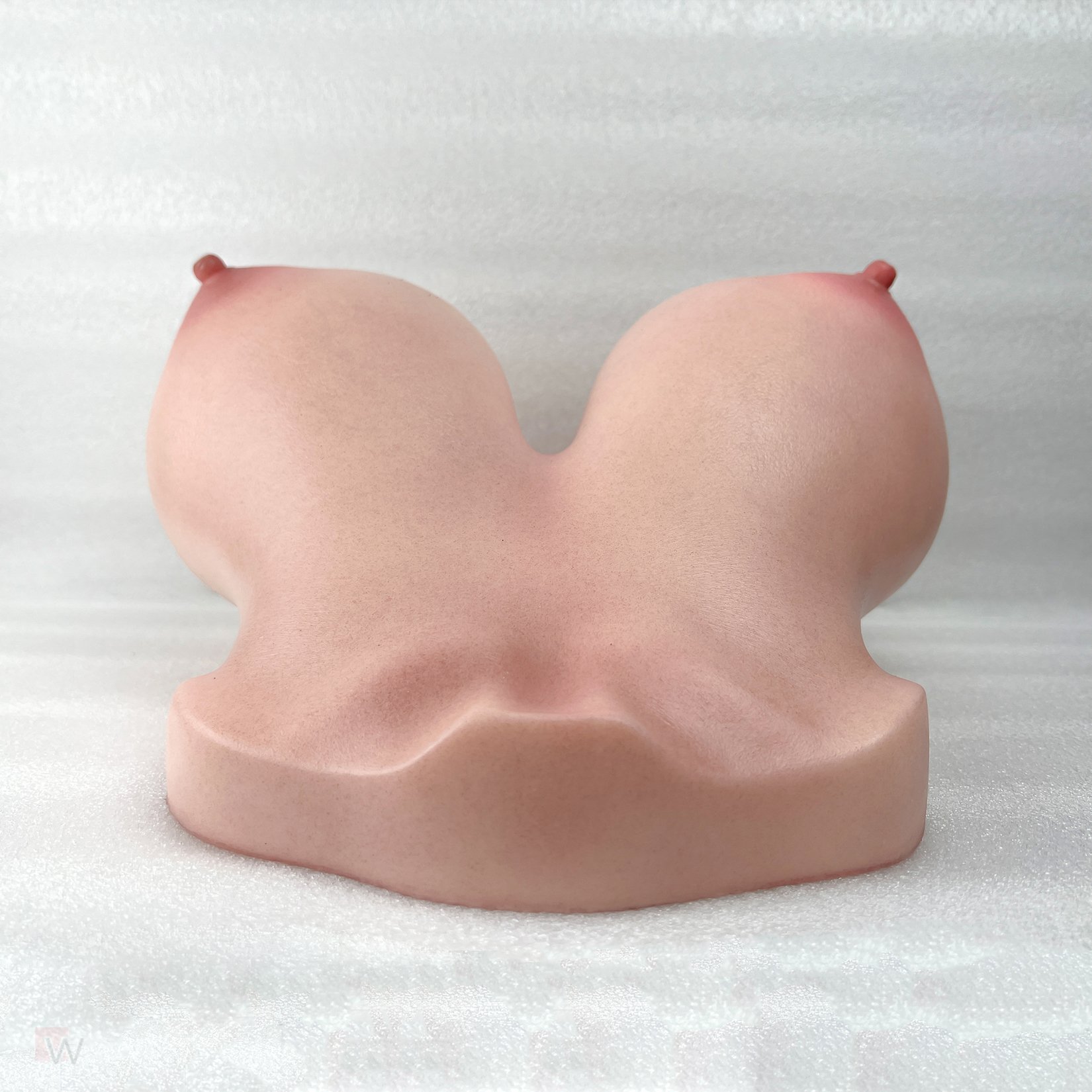 CLM - Torso Brüste B92 – Bild 18