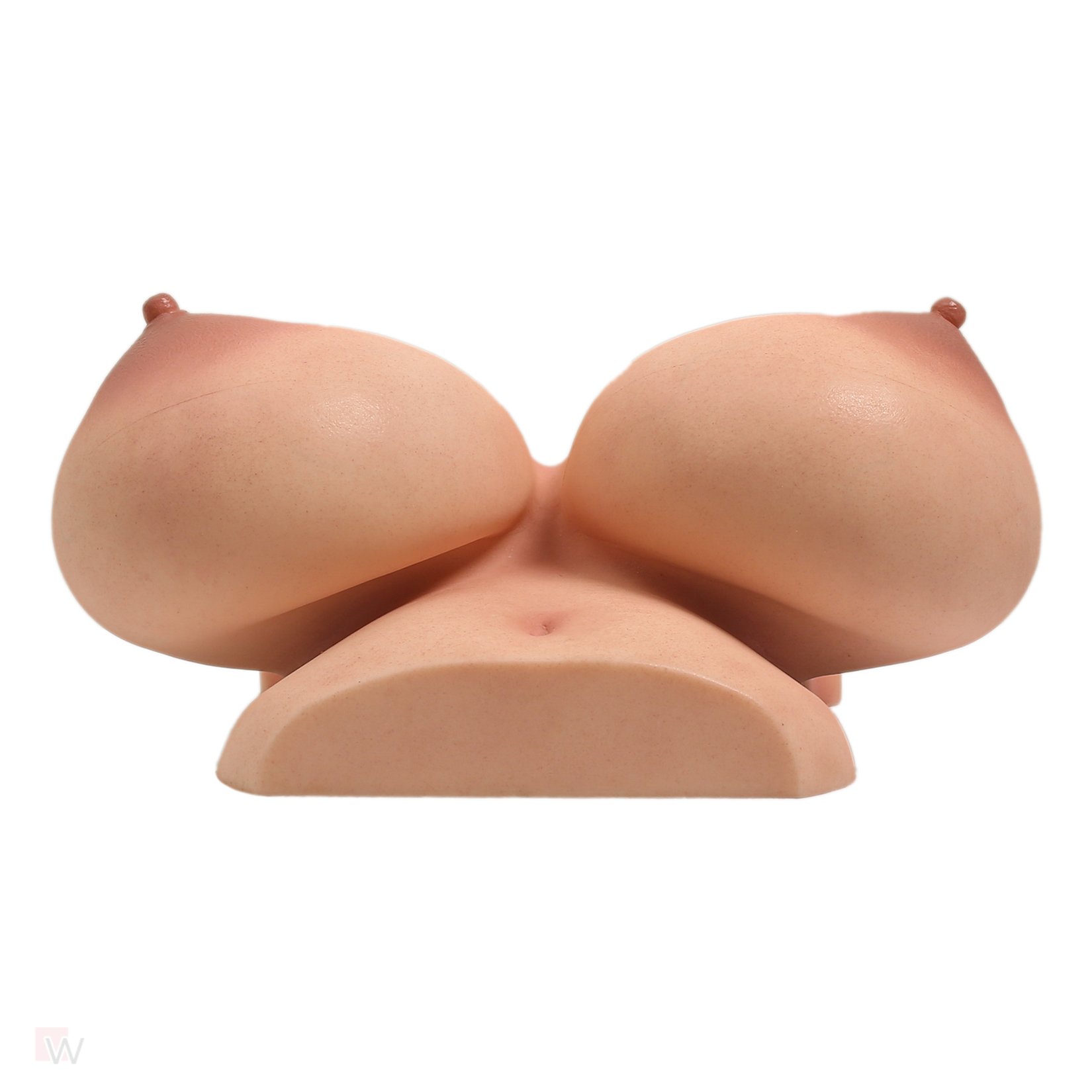 CLM - Torso Brüste B92 – Bild 5