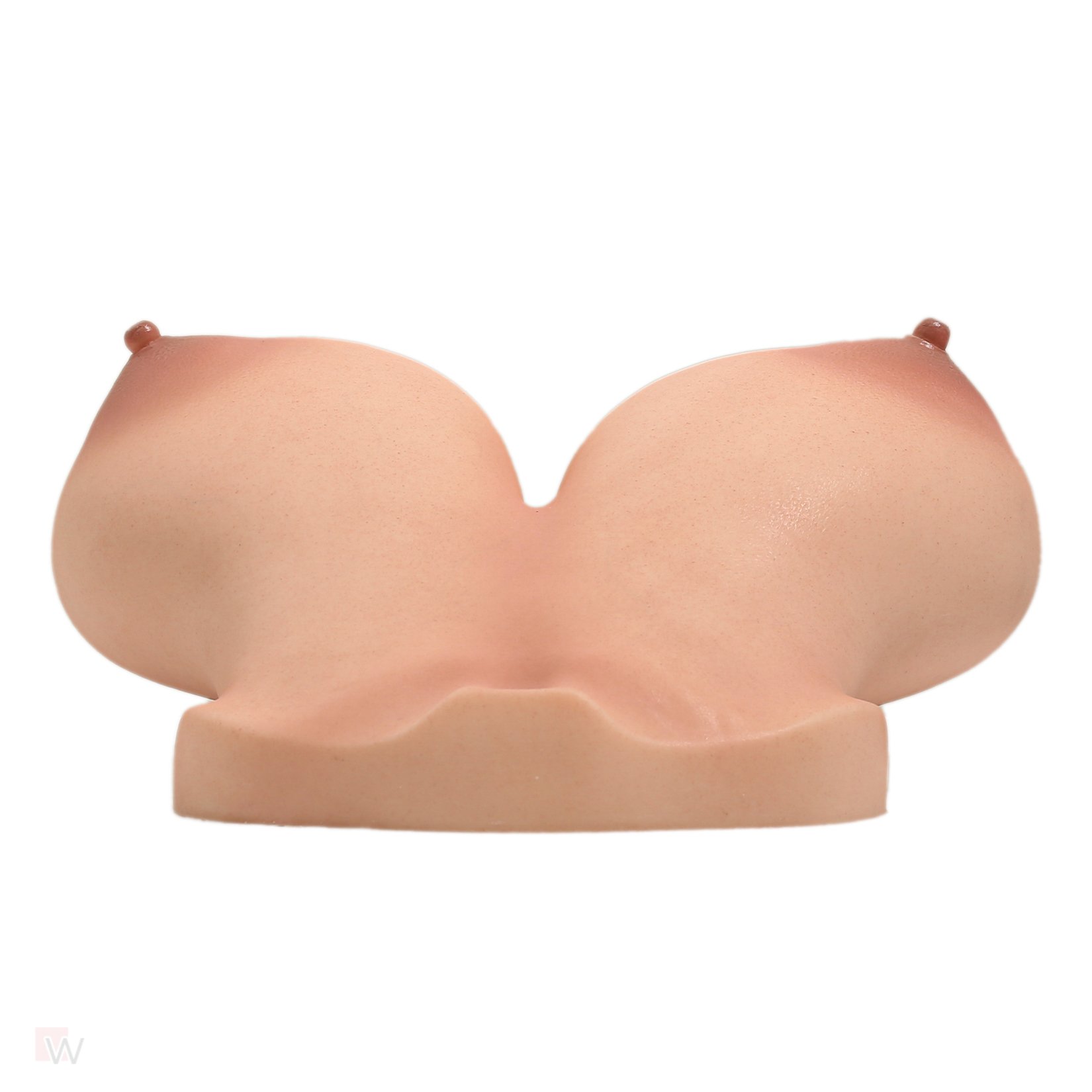 CLM - Torso Brüste B92 – Bild 3