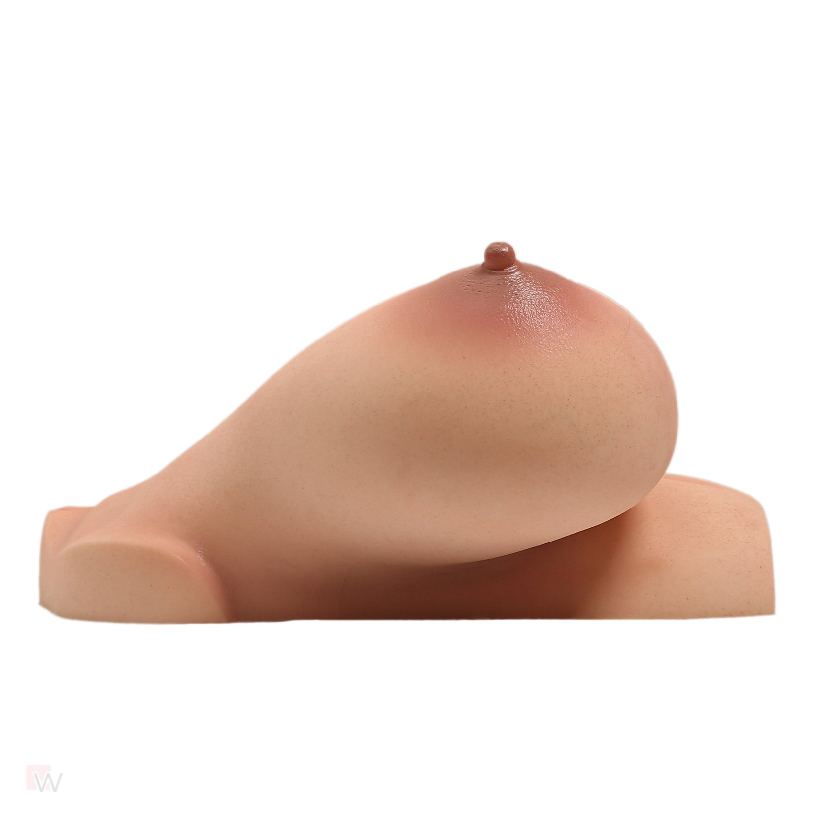 CLM - Torso Brüste B92 – Bild 4