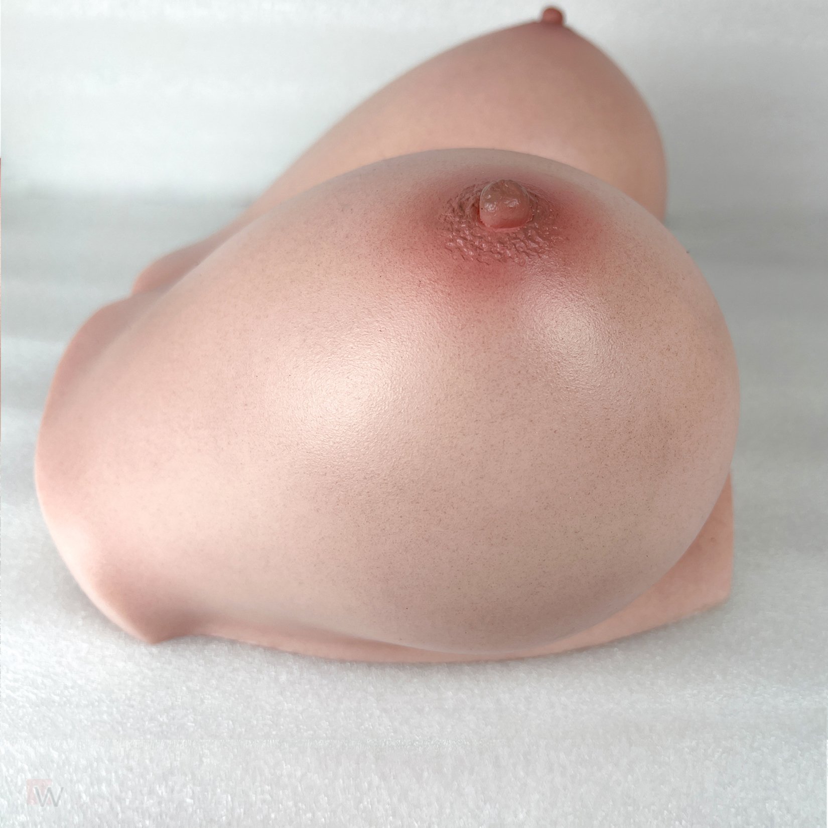 CLM - Torso Brüste B86 – Bild 21
