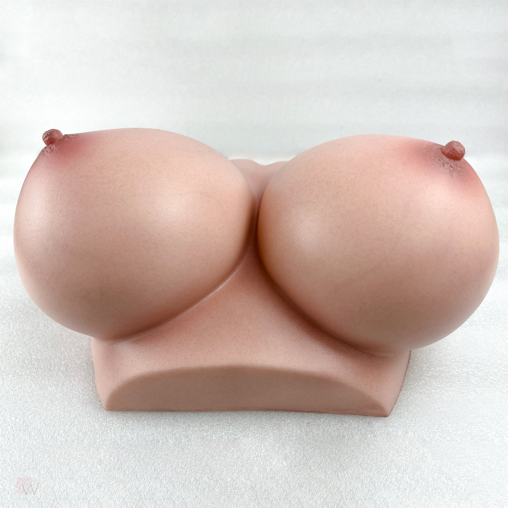 CLM - Torso Brüste B86 – Bild 20