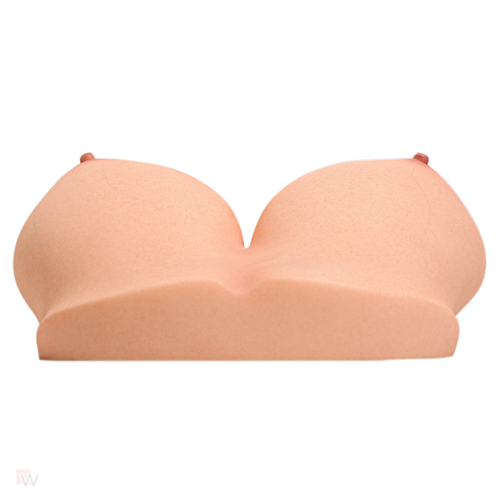 CLM - Torso Brüste B86 – Bild 3