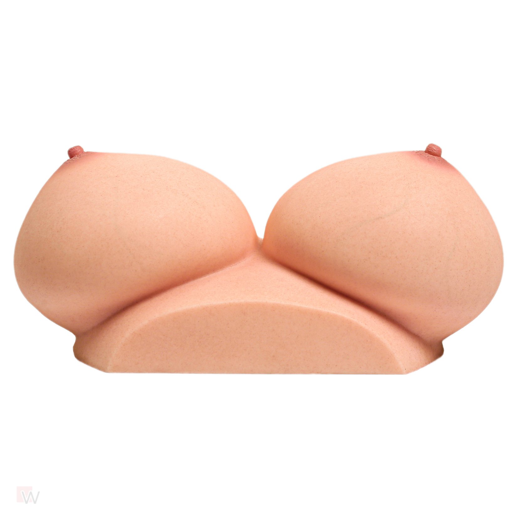 CLM - Torso Brüste B86