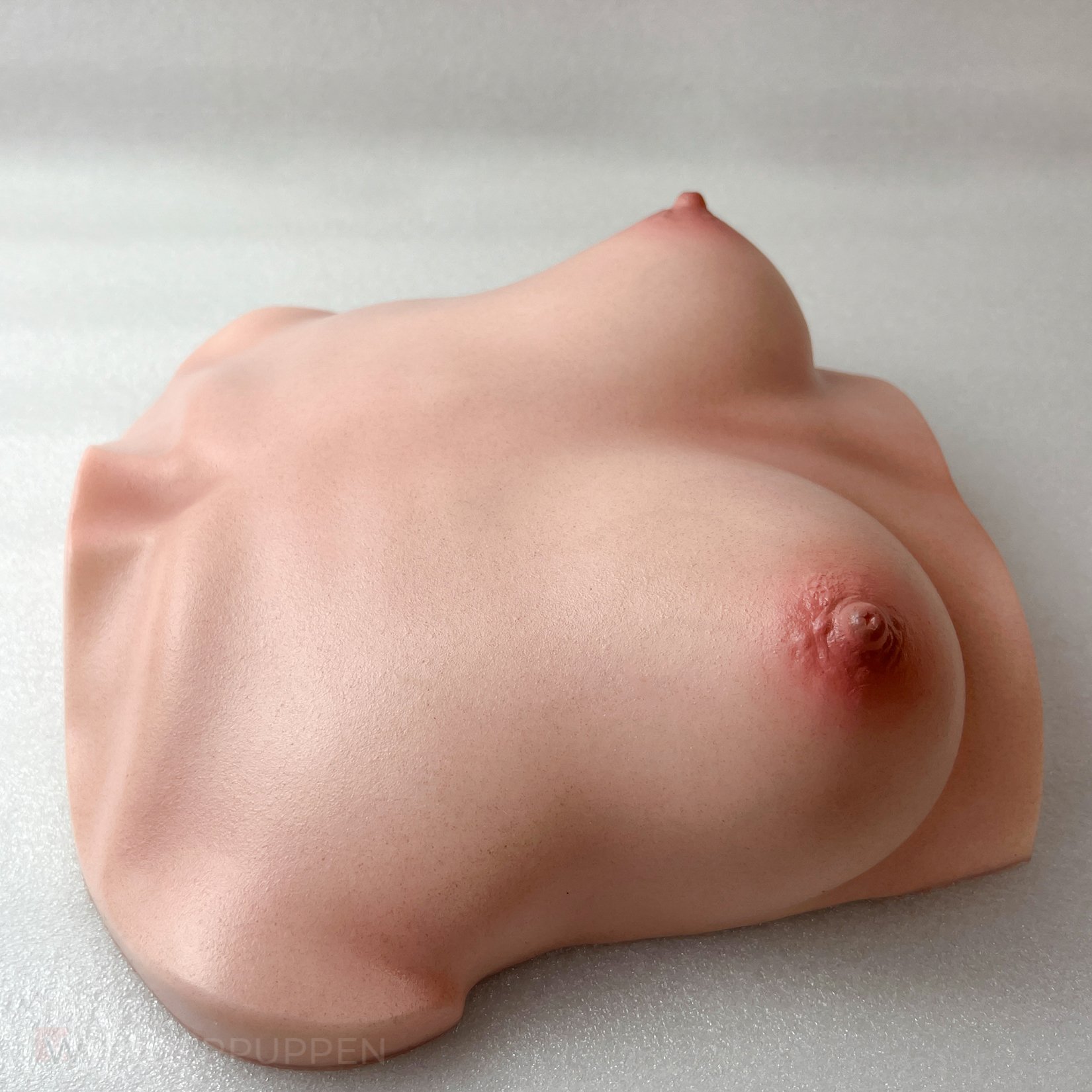 CLM - Torso Brüste B61 – Bild 24