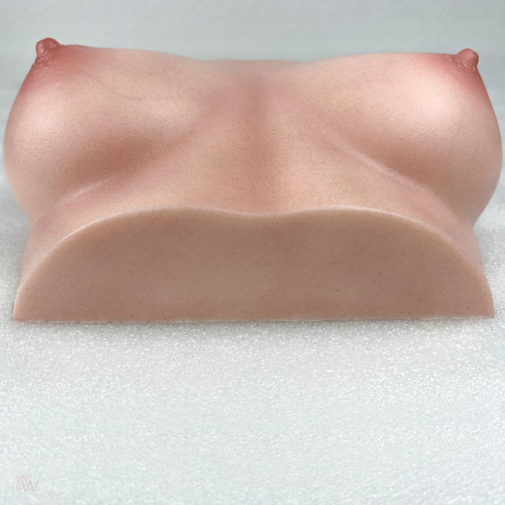 CLM - Torso Brüste B61 – Bild 21