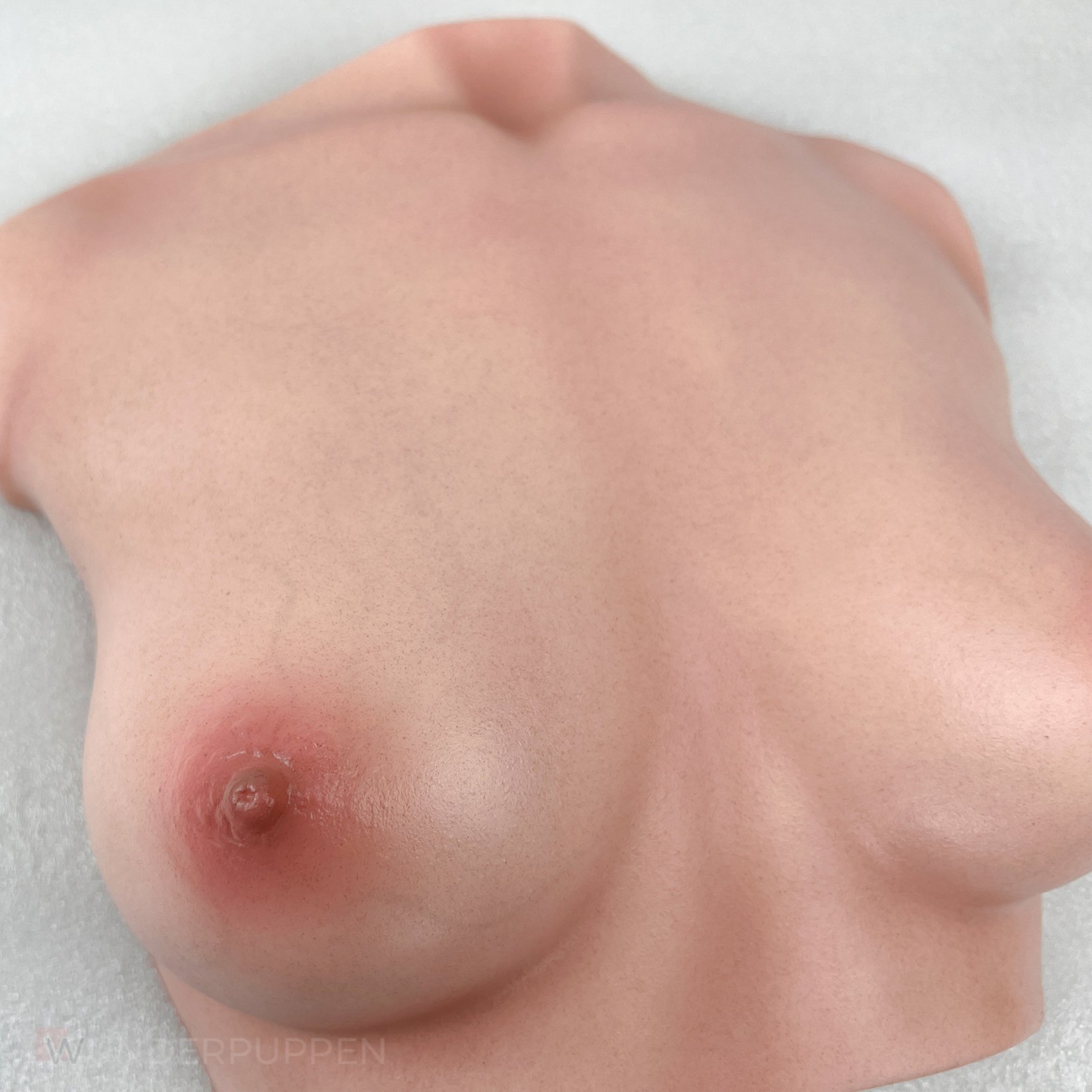 CLM - Torso Brüste B61 – Bild 22