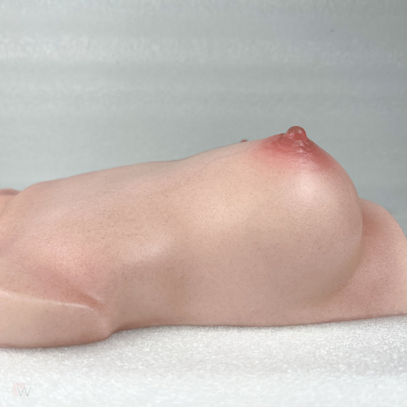 CLM - Torso Brüste B61 – Bild 19