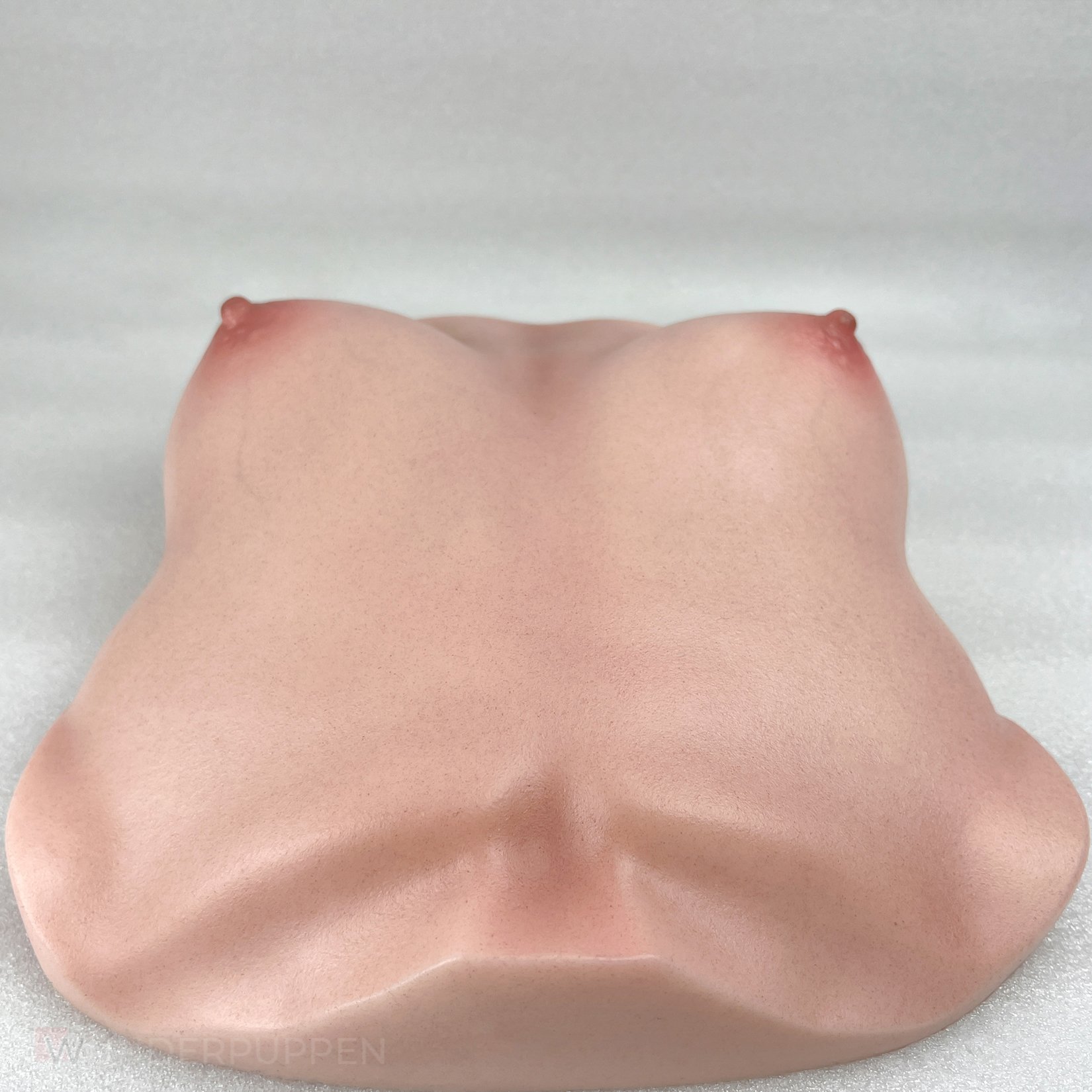 CLM - Torso Brüste B61 – Bild 20