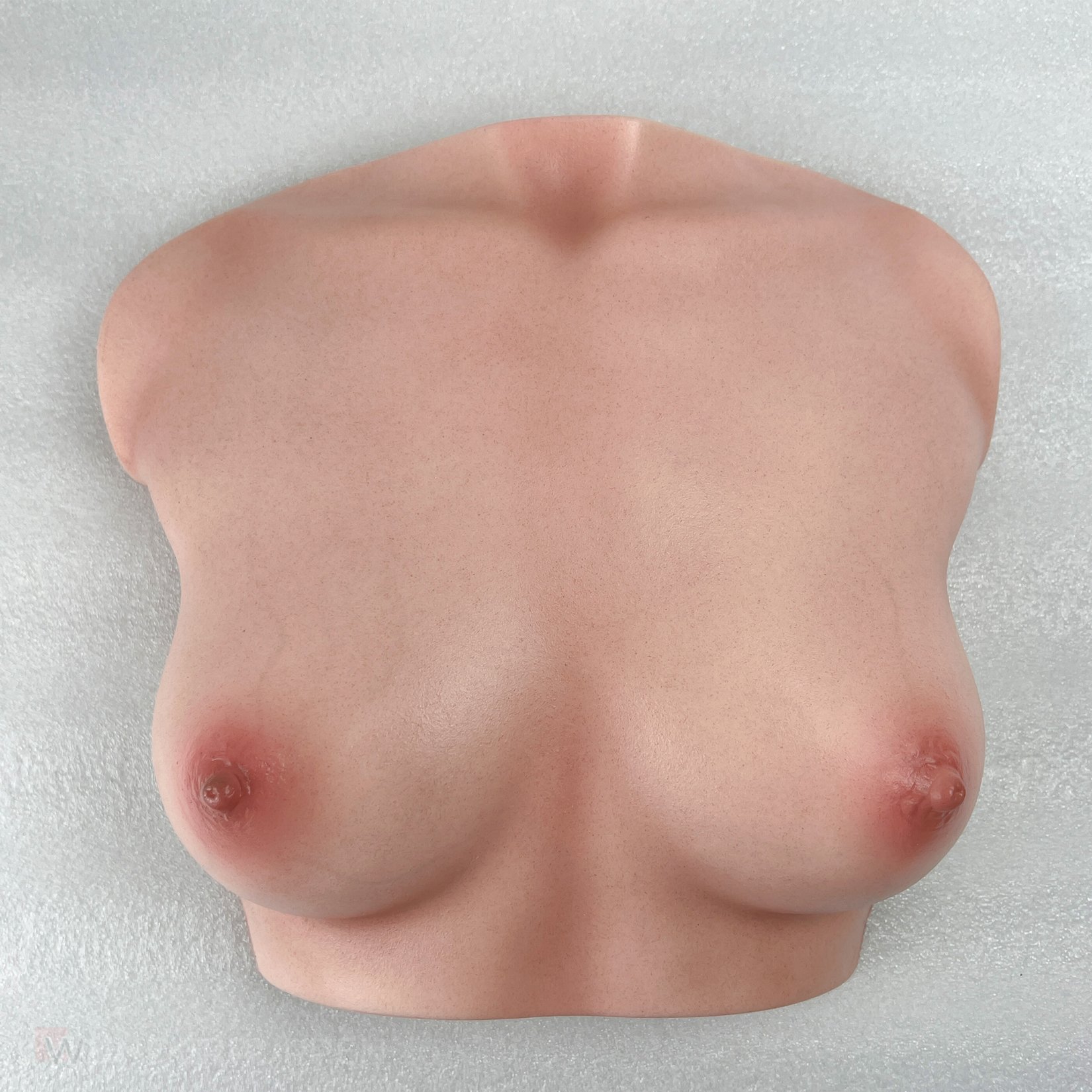 CLM - Torso Brüste B61 – Bild 18