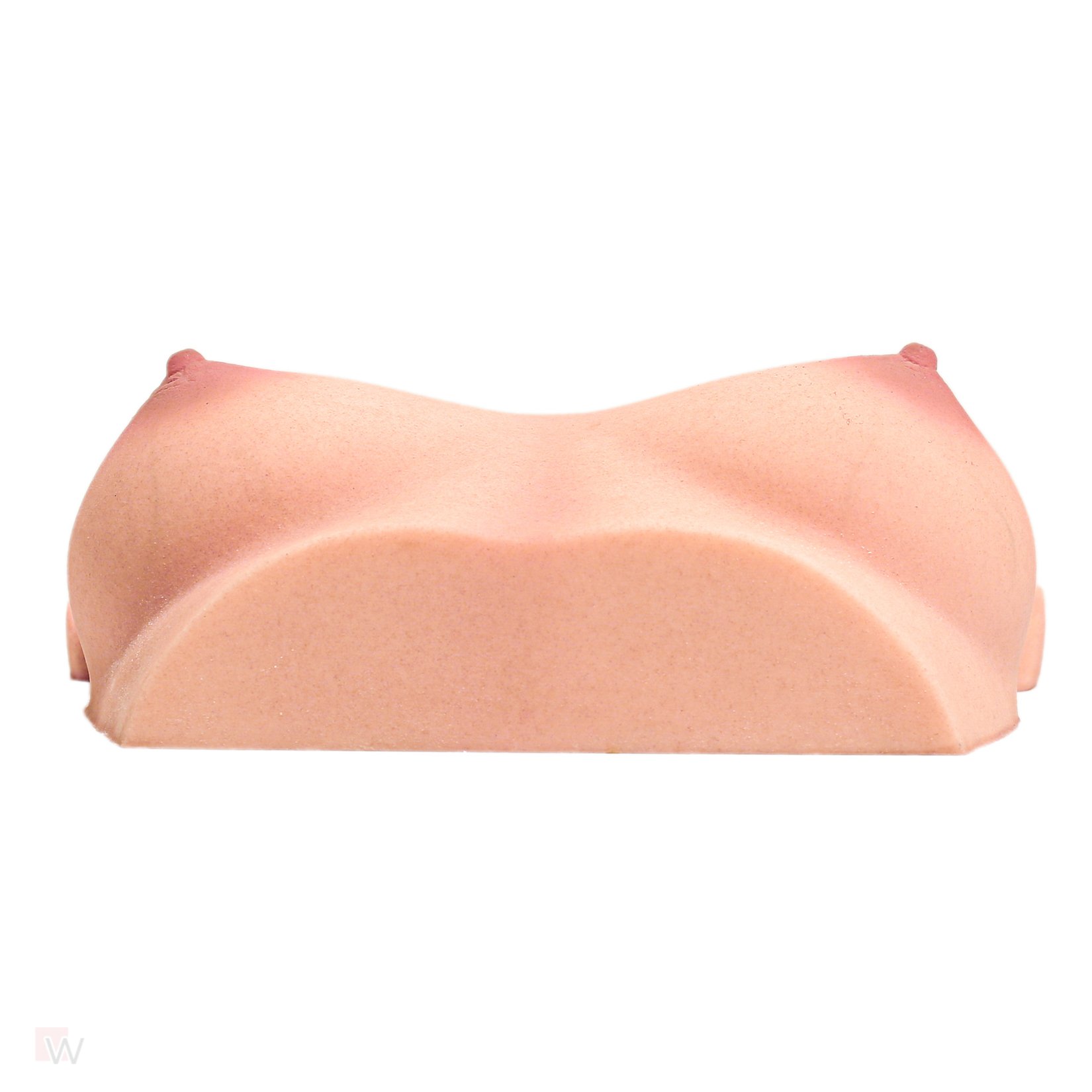 CLM - Torso Brüste B61 – Bild 5