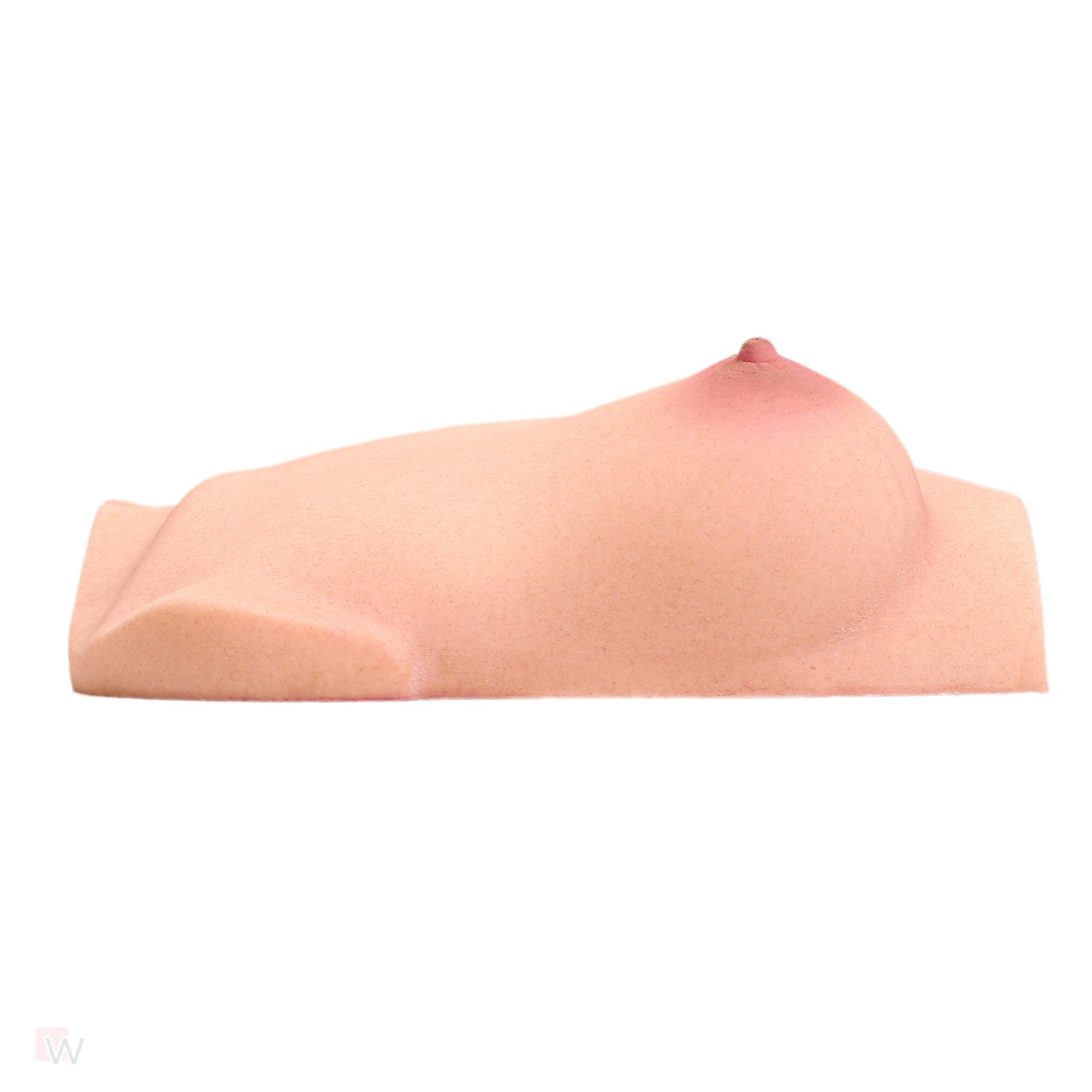 CLM - Torso Brüste B61 – Bild 4