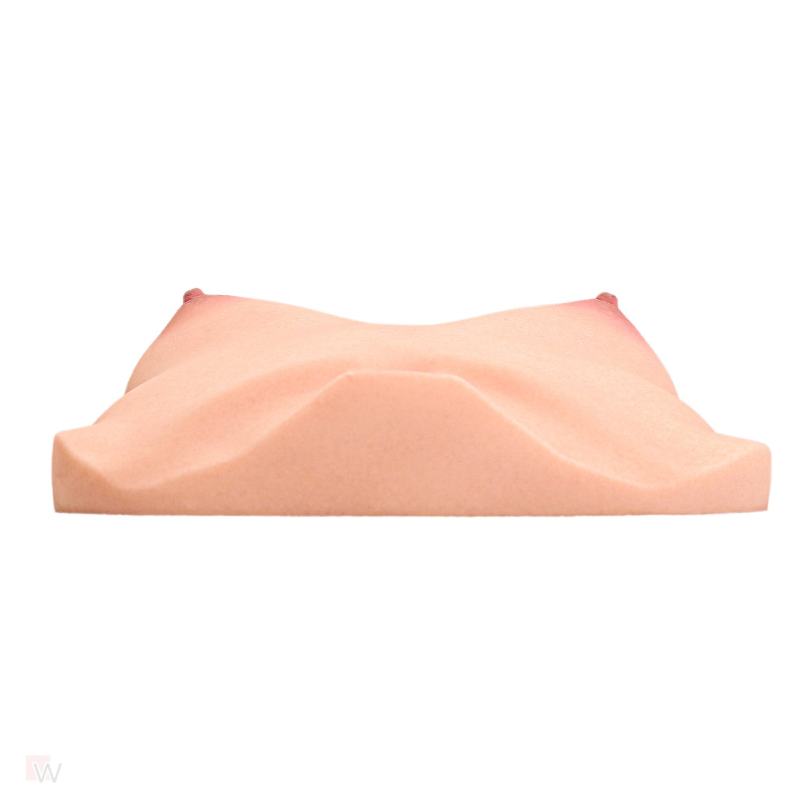 CLM - Torso Brüste B61 – Bild 3