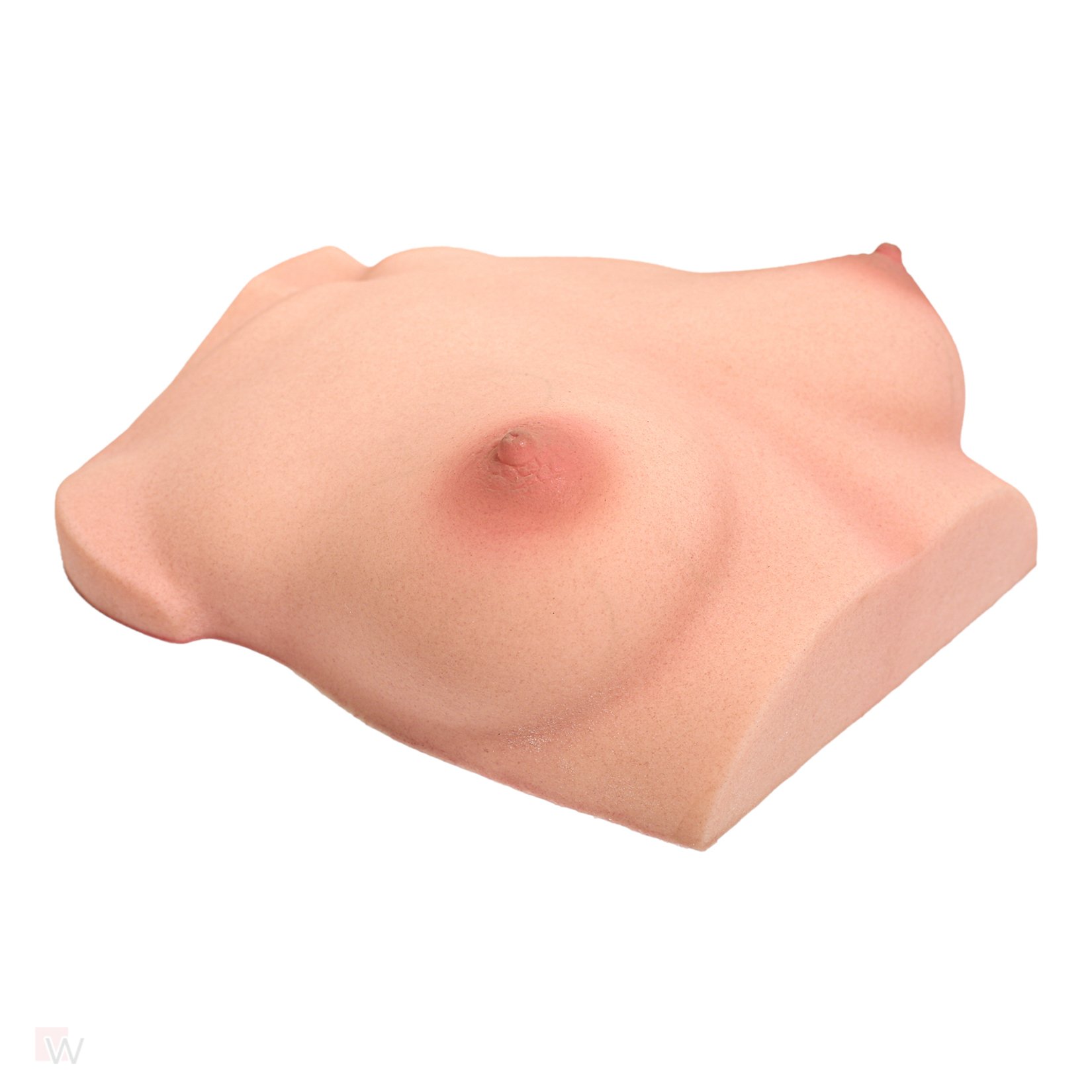 CLM - Torso Brüste B61 – Bild 2