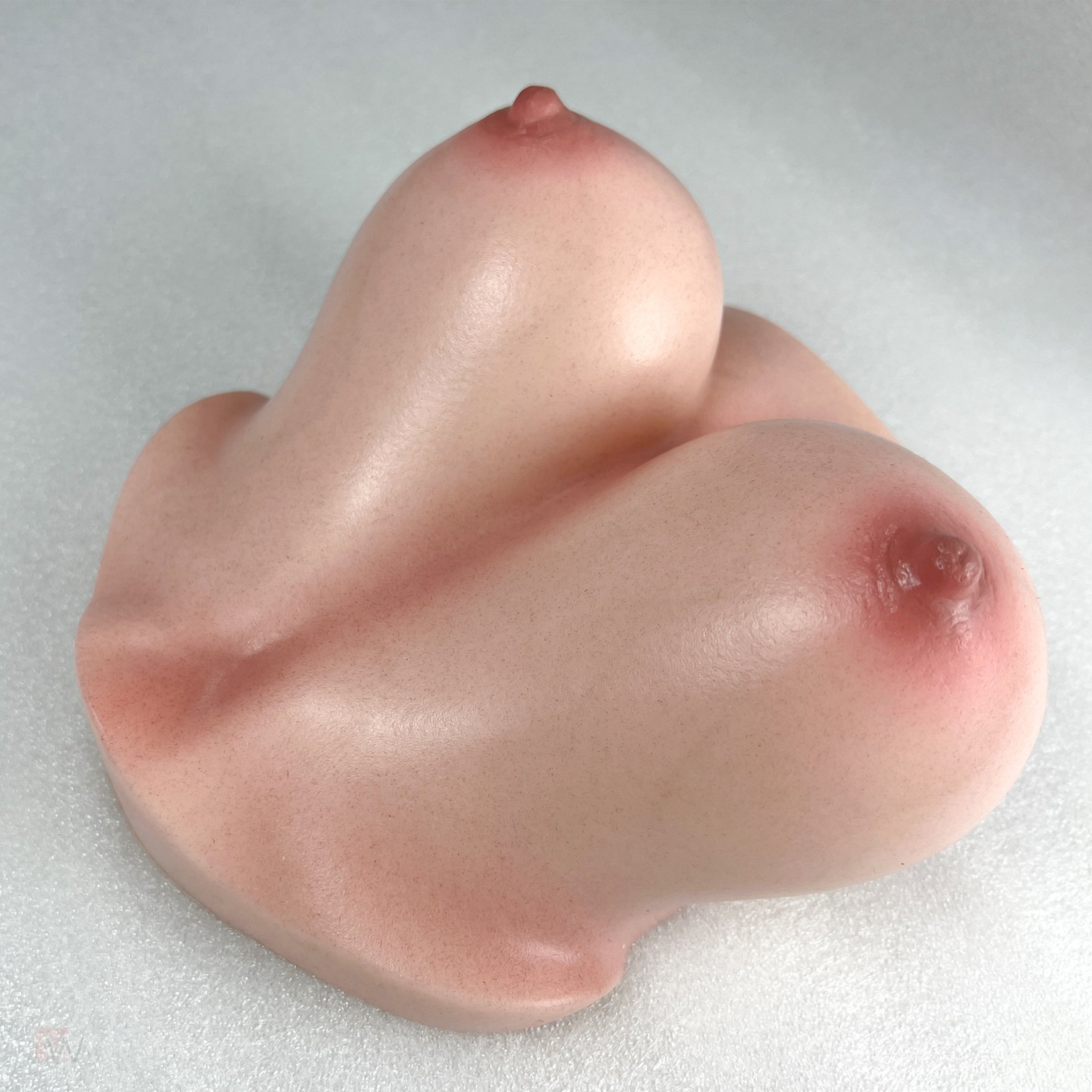 CLM - Torso Brüste B53 – Bild 20