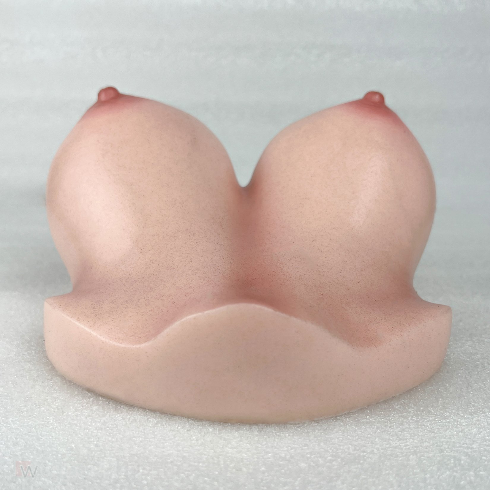 CLM - Torso Brüste B53 – Bild 18