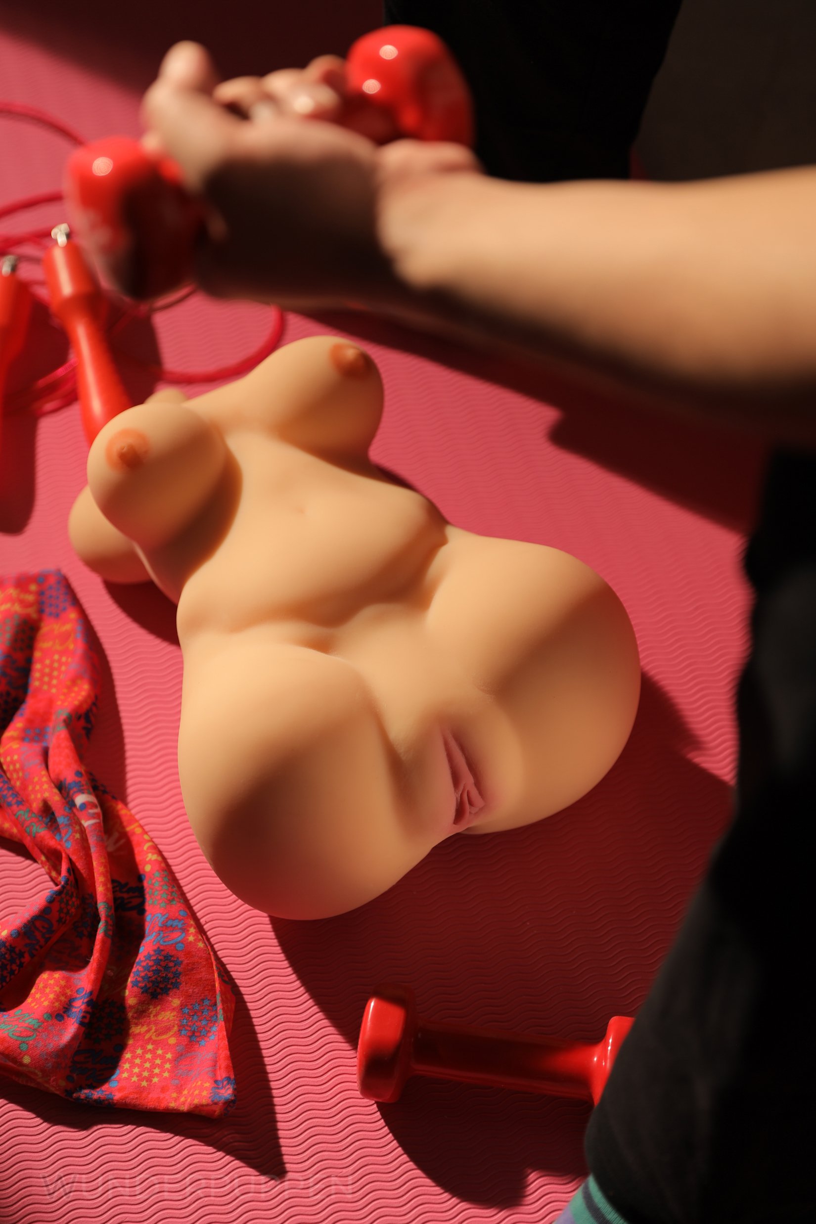Torso SM C