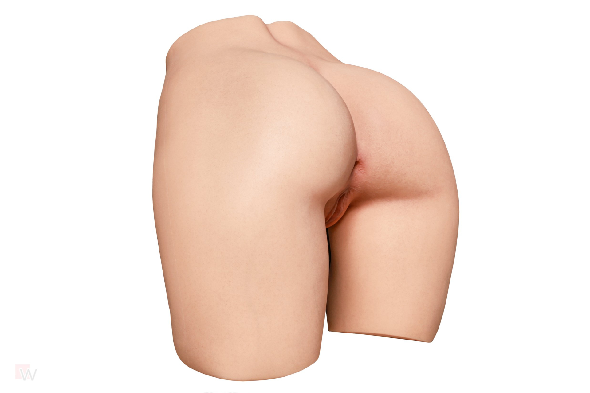 CLM - RS-1 Torso Hintern – Bild 47