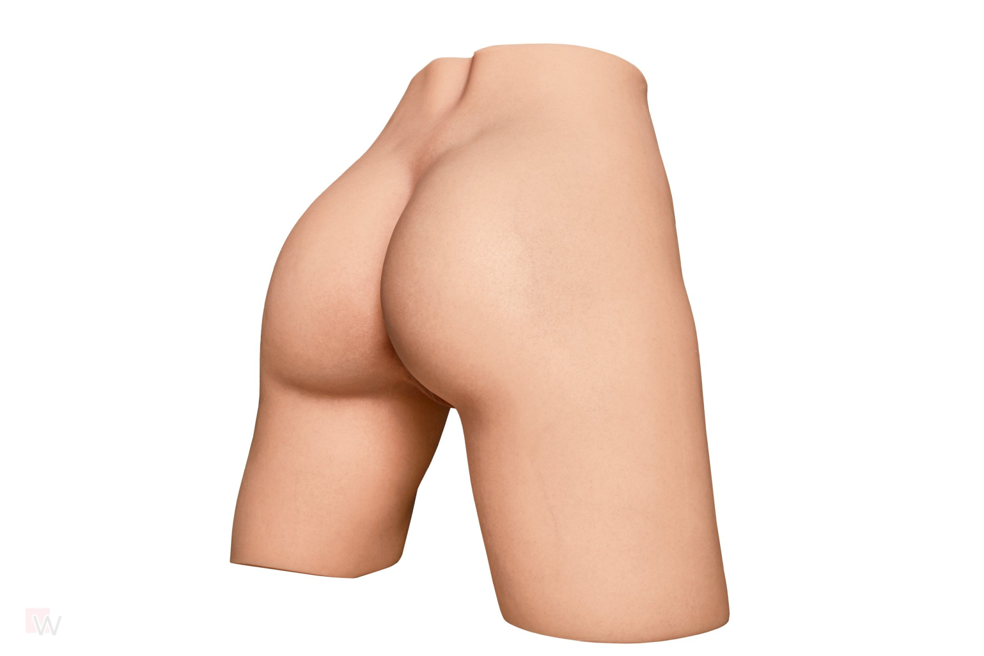 CLM - RS-1 Torso Hintern – Bild 40
