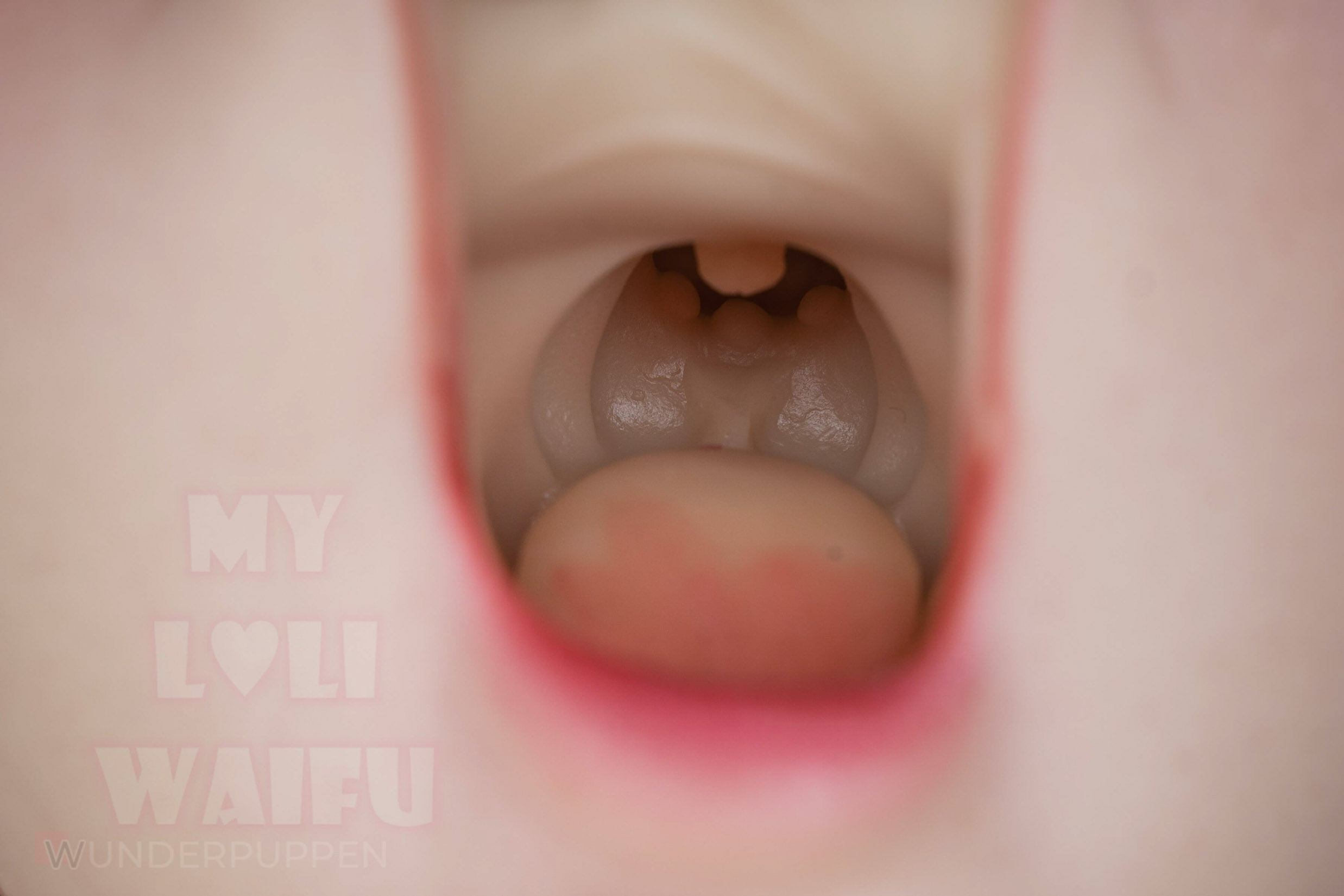 Mia - Jiusheng MLW 148cm B – Bild 54