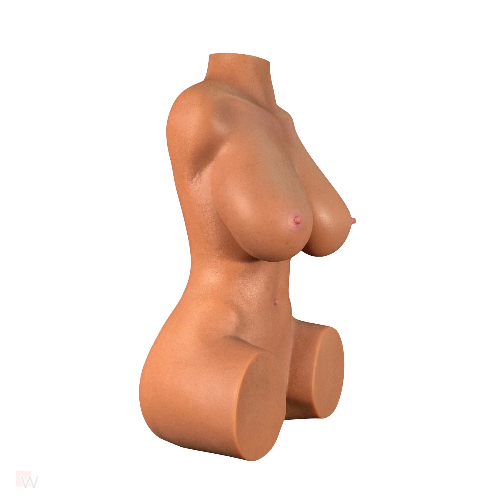 Sex Doll Torso Quinn – Bild 12