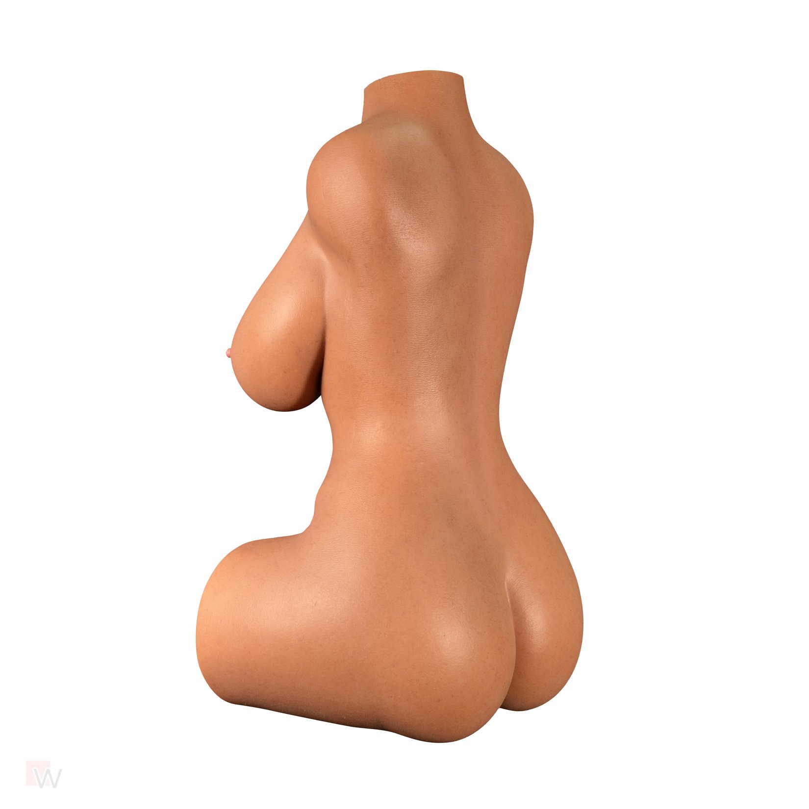 Sex Doll Torso Quinn – Bild 8