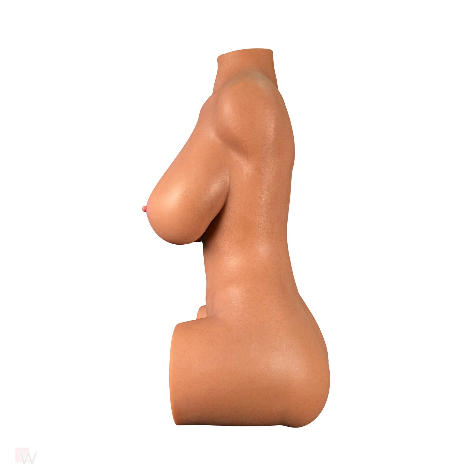 Sex Doll Torso Quinn – Bild 7