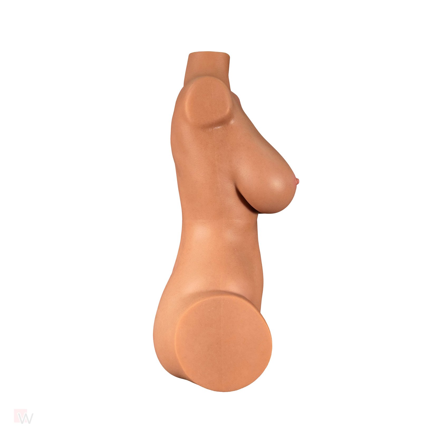 Sex Doll Torso Jessica – Bild 11