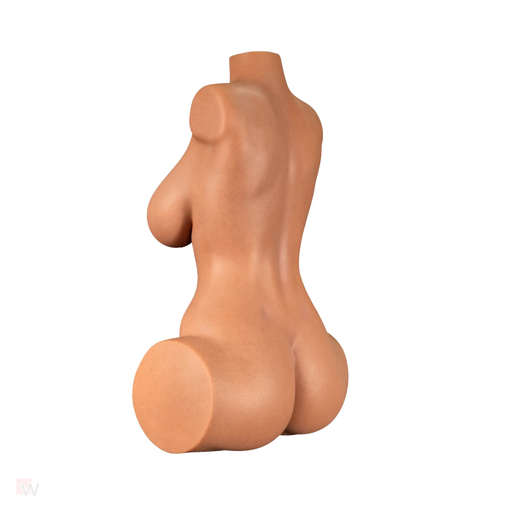 Sex Doll Torso Jessica – Bild 8