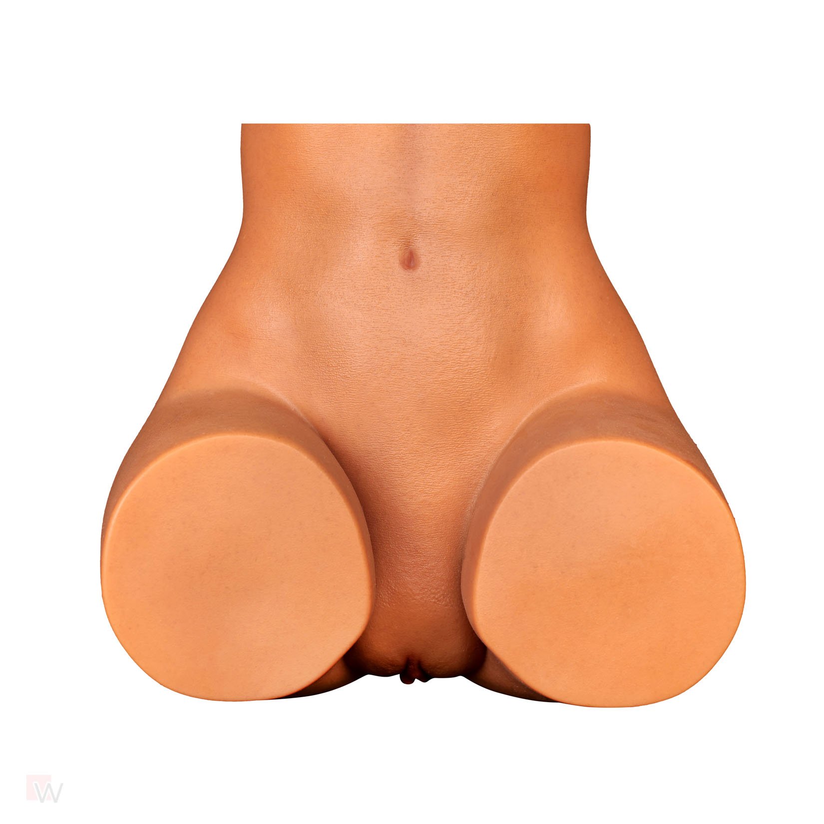 Sex Doll Torso Gina