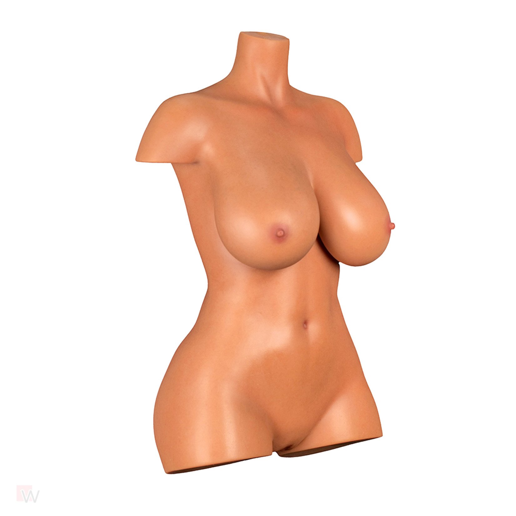 Sex Doll Torso Aiko – Bild 12
