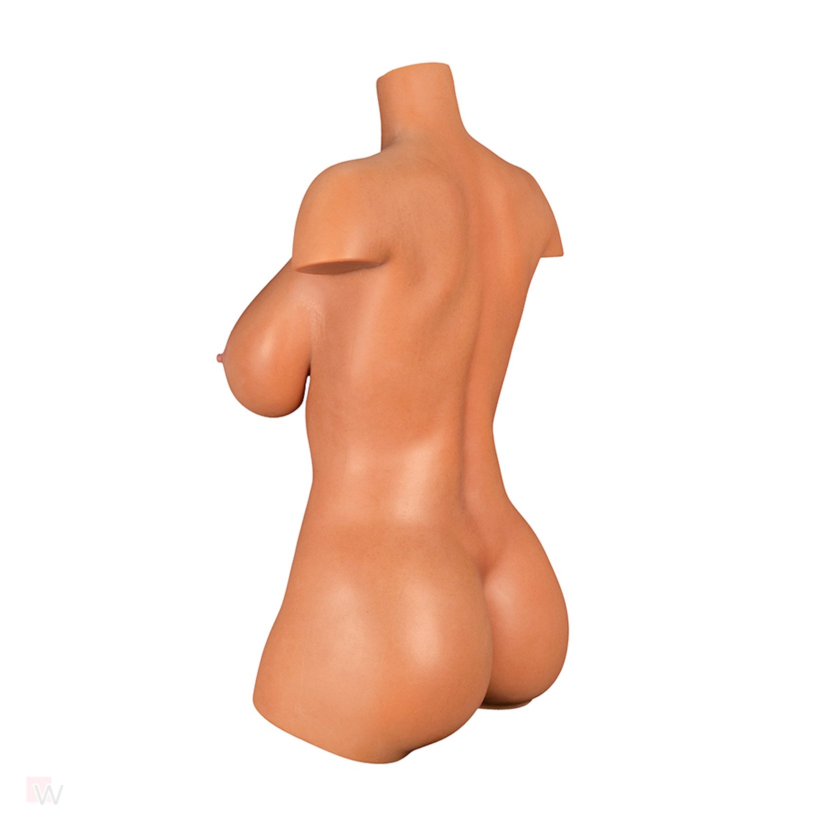 Sex Doll Torso Aiko – Bild 8