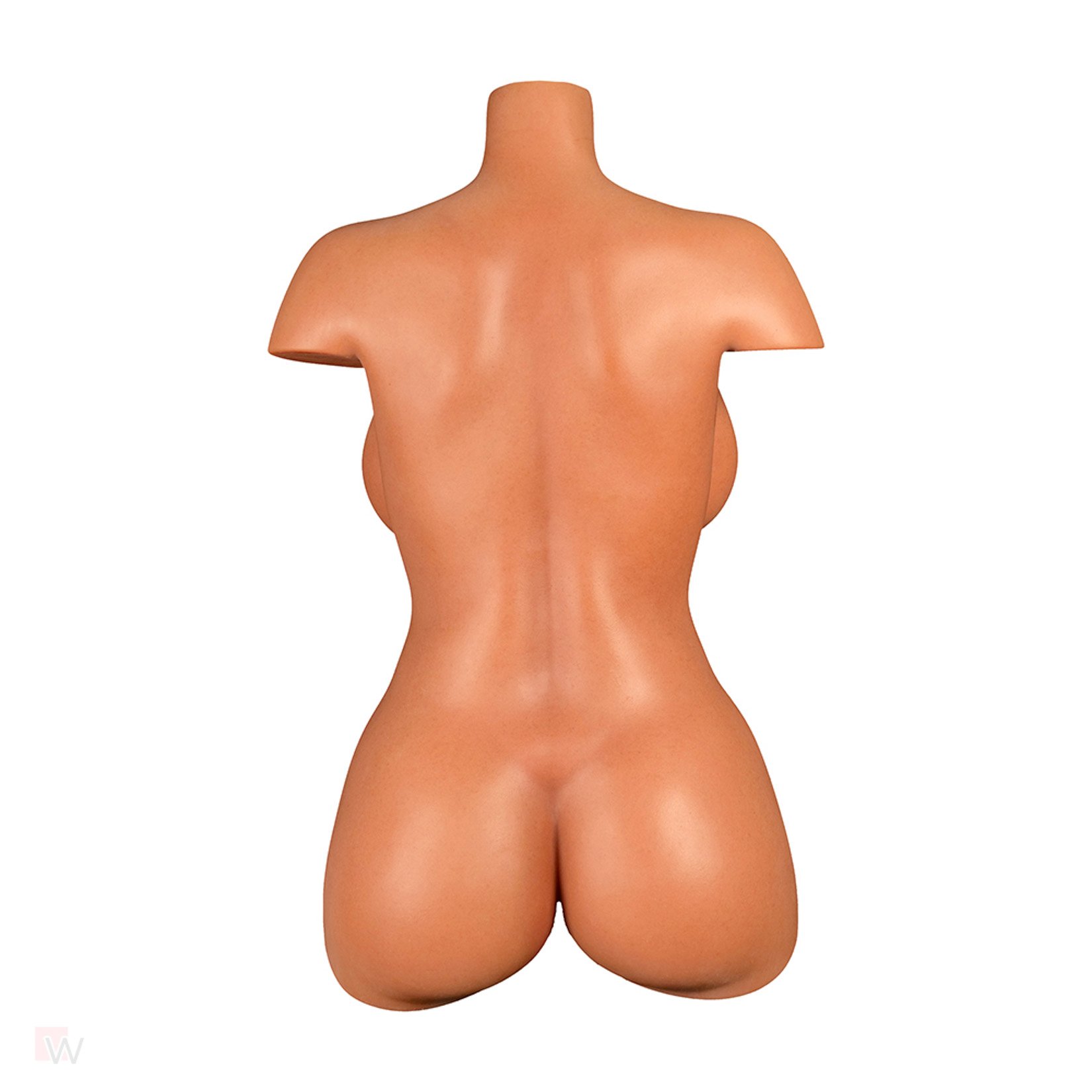 Sex Doll Torso Aiko – Bild 9