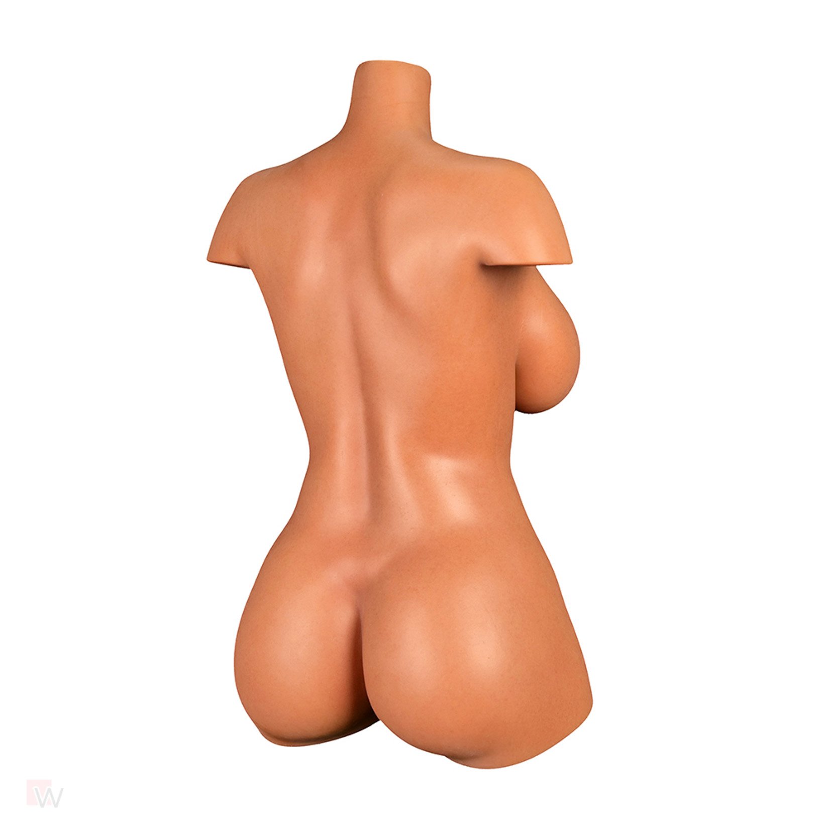 Sex Doll Torso Aiko – Bild 10